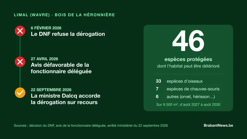 Frise de trois dates du dossier de la Héronnière à Limal : refus du DNF le 6 février 2026, avis défavorable de la fonctionnaire déléguée le 27 avril 2026, dérogation accordée par la ministre Dalcq le 22 septembre 2026 ; à droite, 46 espèces protégées concernées