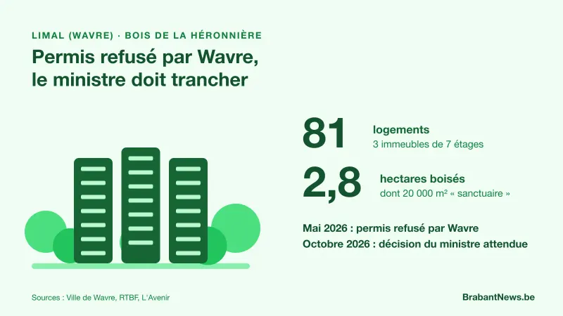 Pictogramme de trois immeubles au milieu d'arbres et chiffres du projet de la Héronnière à Limal : 81 logements, 3 immeubles de 7 étages, 2,8 hectares boisés, dont 20 000 m² présentés comme zone sanctuaire ; permis refusé par Wavre en mai 2026, décision du ministre attendue en octobre 2026