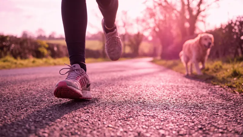 Illustration : les jambes d'une personne qui court en baskets roses sur une route de campagne, suivie d'un chien, dans une lumière rosée