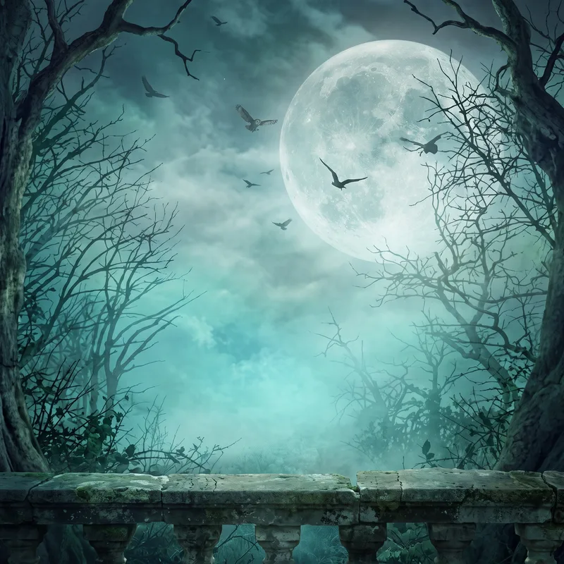 Illustration : une forêt aux arbres nus sous la pleine lune, des oiseaux dans un ciel brumeux, une balustrade de pierre au premier plan